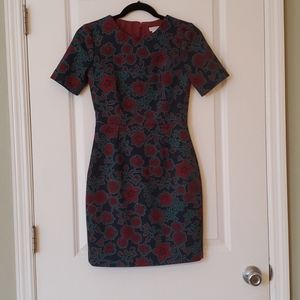 J. Crew 00P Dress